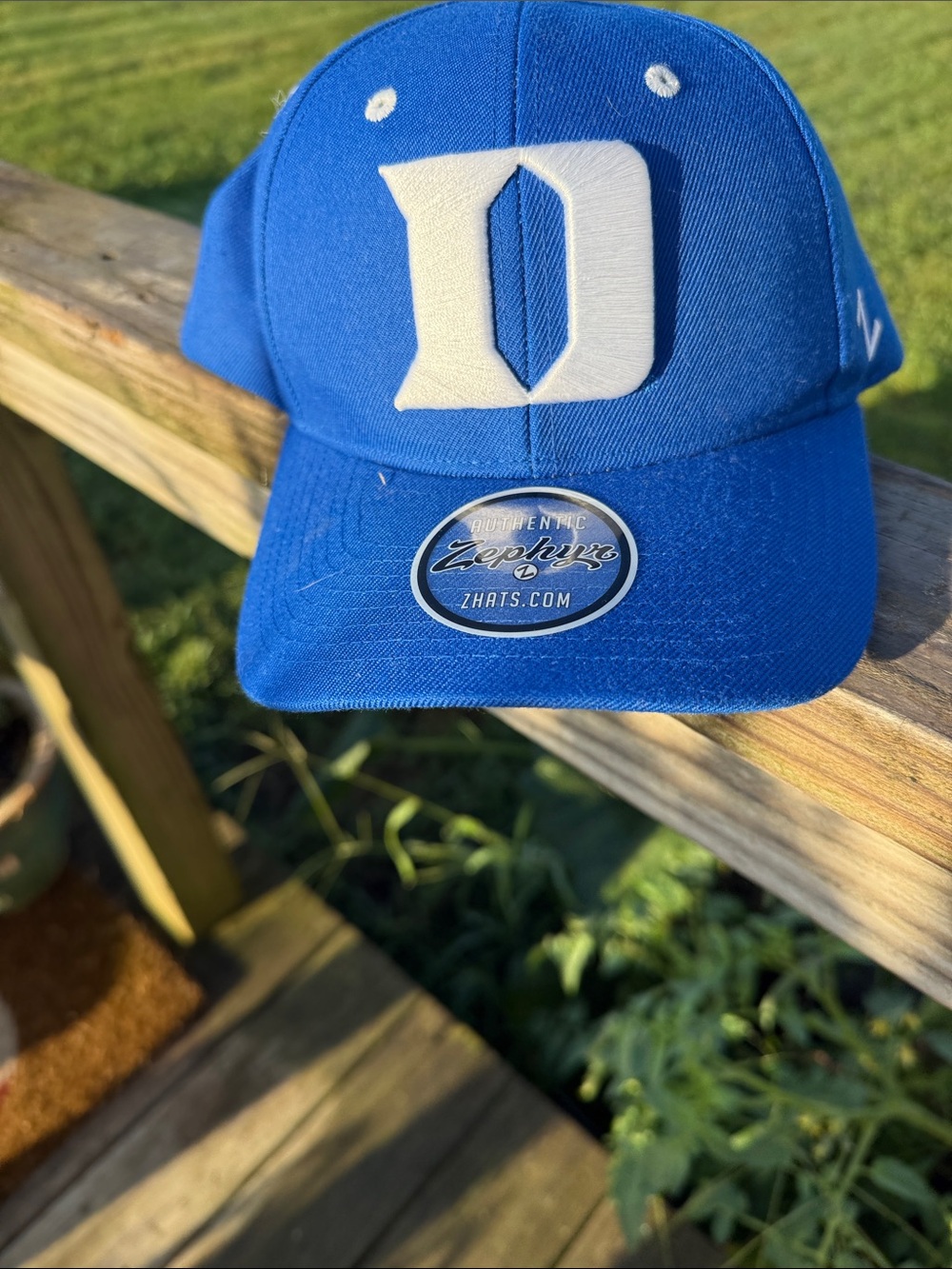 Zephyr Royal Blue Baseball Hat with White 'D' Patch